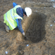 An archaeologist inspecting a grave found at the site.